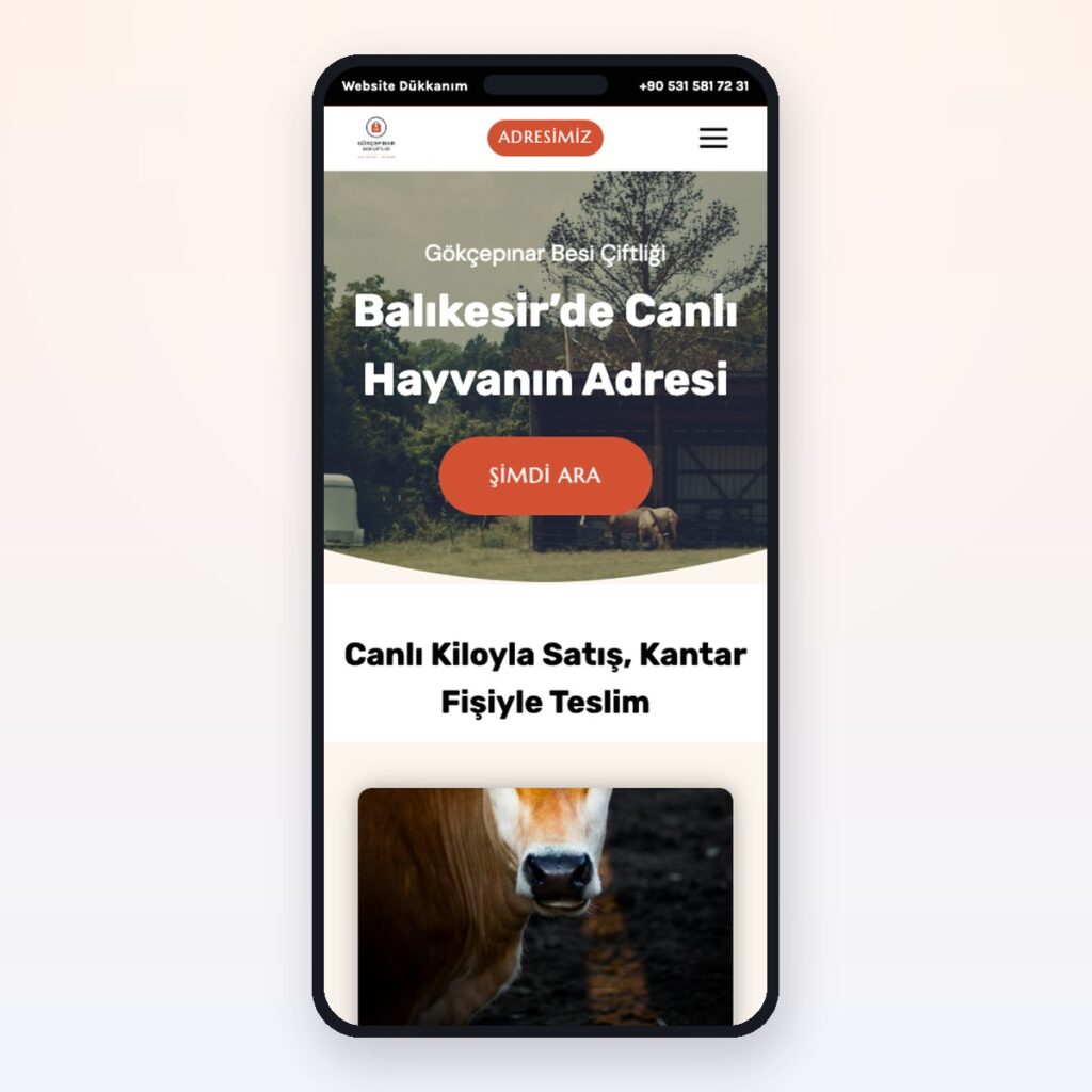 Agriculture & bétail — önizleme