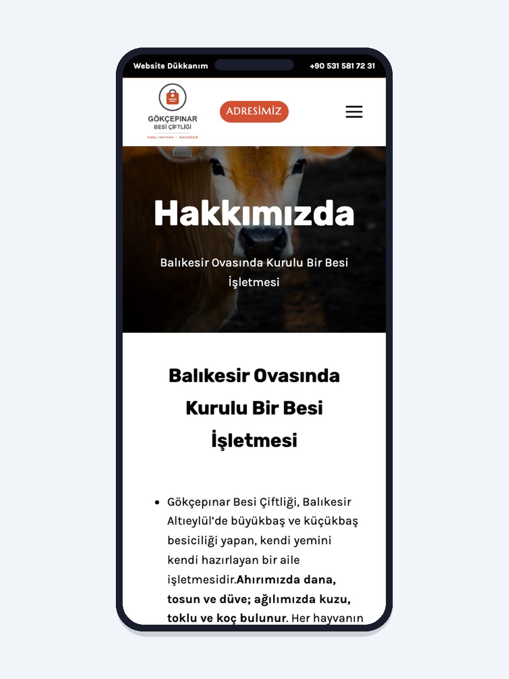 Besi Çiftliği / Canlı Hayvan - Görsel 3
