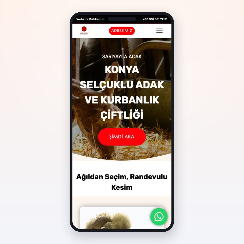 Butcher & Meat Products — önizleme