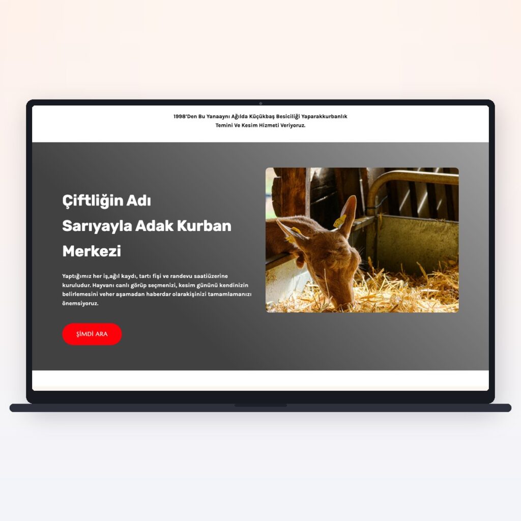 Butcher & Meat Products — önizleme
