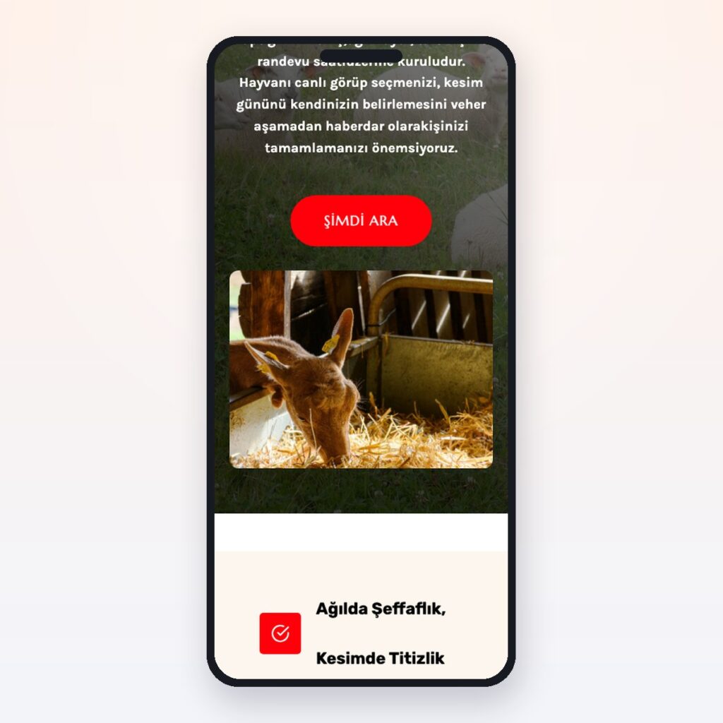 Butcher & Meat Products — önizleme