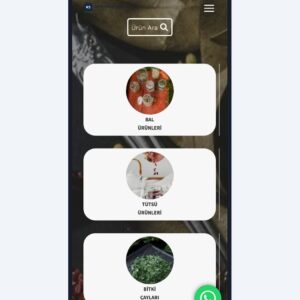 Aktar / Baharat hazır web sitesi tasarımı önizlemesi