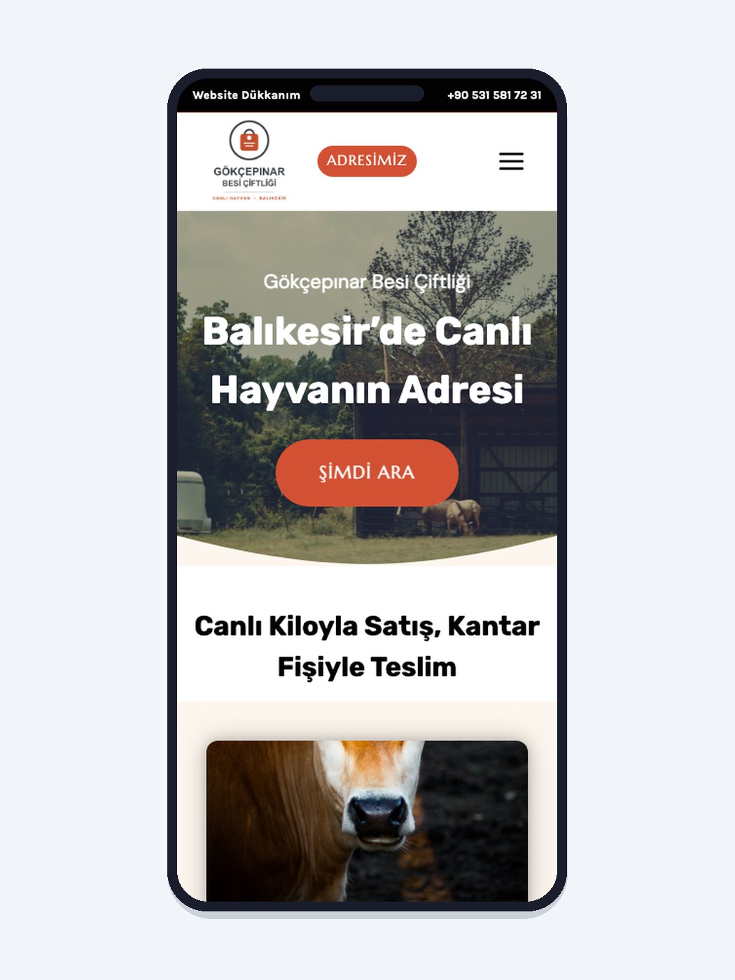 Besi Çiftliği / Canlı Hayvan hazır web sitesi tasarımı önizlemesi